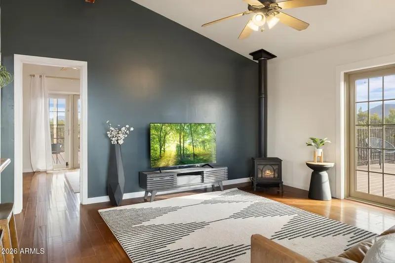A living area with a charcoal accent wall under a vaulted ceiling: a brass ceiling fan, a television on a fluted media console, a black free-standing gas stove with its flue running to the roof, a striped rug on dark wood floor, and a glazed door out to the deck.